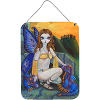 "Caroline's Treasures Fairy Foundlings Wall or Door Hanging Prints 7374DS1216, 16HX12W, Multicolor"