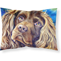 "Caroline's Treasures ""Boykin Spaniel"" Printed, Polyester Envelope Closure pillowcase, Standard, Multicolor"