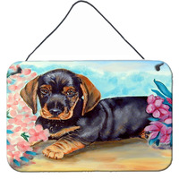 "Caroline's Treasures 7501DS812 Dachshund Aluminum Metal Wall or Door Hanging Prints, 8 x 12"""