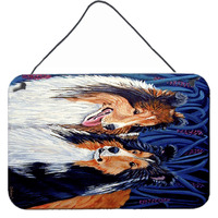 "Caroline's Treasures Sheltie Aluminum Metal Wall or Door Hanging Prints, 8 x 12"""