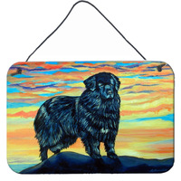 "Caroline's Treasures Newfoundland Aluminum Metal Wall or Door Hanging Prints, 8 x 12"""