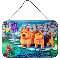 "Caroline's Treasures 7520DS812 Norwich Terrier Aluminum Metal Wall or Door Hanging Prints, 8 x 12"""