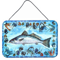 "Caroline's Treasures Fish Speckled Trout Indoor or Aluminum Metal Wall or Door Hanging Prints, 8 x 12"", Multicolor"