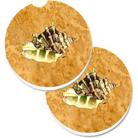 "Caroline's Treasures Shell Set of 2 Cup Holder Car Coasters 8658CARC, 2.56, Multicolor"