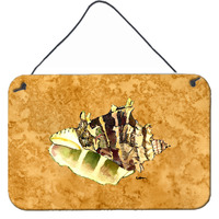 "Caroline's Treasures Shell Aluminum Metal Wall or Door Hanging Prints, 8 x 12"""