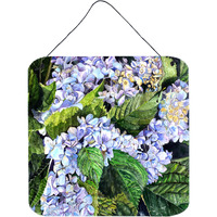 "Caroline's Treasures Hydrangea Aluminum Metal Wall or Door Hanging Prints, 6 x 6"", Multicolor"