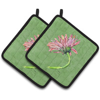 "Caroline's Treasures Gerber Daisy Pink Pair of Pot Holders 8853PTHD, 7.5HX7.5W, Multicolor"