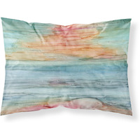 "Caroline's Treasures Abstract Rainbow Fabric Standard Pillowcase 8979PILLOWCASE, Multicolor"