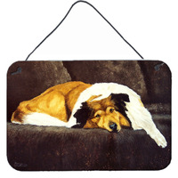 "Caroline's Treasures Collie by Tanya and Craig Amberson Wall or Door Hanging Prints AMB1031DS812, 8""H x 12""W, Multicolor"