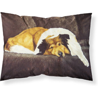 "Caroline's Treasures Collie by Tanya and Craig Amberson Fabric Standard Pillowcase AMB1031PILLOWCASE, Multicolor"