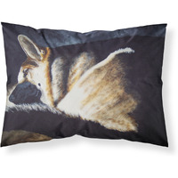 "Caroline's Treasures Day Dreamer German Shepherd Fabric Standard Pillowcase AMB1042PILLOWCASE, Multicolor"