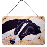 "Caroline's Treasures Naptime Border Collie Wall or Door Hanging Prints AMB1080DS812, 8""H x 12""W, Multicolor"