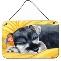 "Caroline's Treasures Snoozing Schnauzer Wall or Door Hanging Prints AMB1161DS812, 8""H x 12""W, Multicolor"