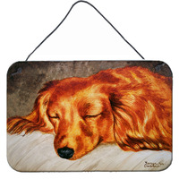 "Caroline's Treasures Red Longhaired Dachshund Wall or Door Hanging Prints AMB1202DS812, 8""H x 12""W, Multicolor"