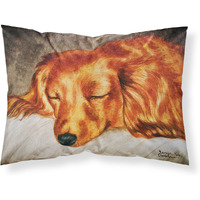 "Caroline's Treasures Red Longhaired Dachshund Fabric Standard Pillowcase AMB1202PILLOWCASE, Multicolor"