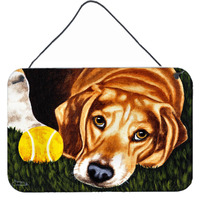 "Caroline's Treasures Have Ball Will Travel Beagle Wall or Door Hanging Prints AMB1358DS812, 8"" H x 12"" W, Multicolor"