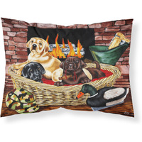 "Caroline's Treasures The Next Generation Labrador Fabric Standard Pillowcase AMB1362PILLOWCASE, Multicolor"
