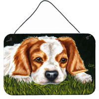 "Caroline's Treasures Cavalier Spaniel in the Grass Wall or Door Hanging Prints AMB1395DS812, 8""H x 12""W, Multicolor"