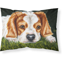 "Caroline's Treasures Cavalier Spaniel in the Grass Fabric Standard Pillowcase AMB1395PILLOWCASE, Multicolor"