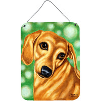 "Caroline's Treasures The Eyes Have It Dachshund Wall or Door Hanging Prints AMB1414DS1216, 16HX12W, Multicolor"
