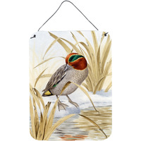 "Caroline's Treasures Eurasian Teal Duck Wall or Door Hanging Prints ASA2059DS1216, 16HX12W, Multicolor"