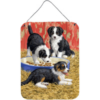 "Caroline's Treasures Border Collie Pups Wall or Door Hanging Prints ASA2079DS1216, 16HX12W, Multicolor"