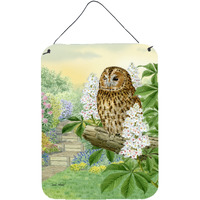 "Caroline's Treasures Tawny Owl Wall or Door Hanging Prints ASA2101DS1216, 16HX12W, Multicolor"