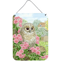 "Caroline's Treasures Tawny Owlet Wall or Door Hanging Prints ASA2109DS1216, 16HX12W, Multicolor"