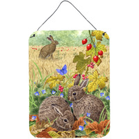 "Caroline's Treasures Leverets and Rabbit Wall or Door Hanging Prints ASA2140DS1216, 16HX12W, Multicolor"