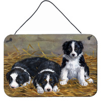 "Caroline's Treasures Border Collie Puppies Wall or Door Hanging Prints ASA2196DS812, 8HX12W, Multicolor"
