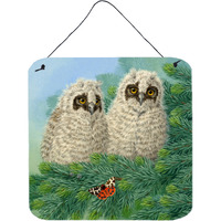 "Caroline's Treasures Owlets and Butterfly by Sarah Adams Wall or Door Hanging Prints ASAD0724DS66, 6HX6W, Multicolor"