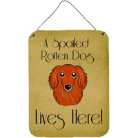 "Caroline's Treasures BB1462DS1216 Longhair Red Dachshund Spoiled Dog Lives Here Wall or Door Hanging Prints, 16 x 12"", Multicolor"