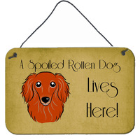 "Caroline's Treasures BB1462DS812 Longhair Red Dachshund Spoiled Dog Lives Here Wall or Door Hanging Prints, 8 x 12"", Multicolor"