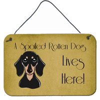 "Caroline's Treasures BB1463DS812 Smooth Black and Tan Dachshund Spoiled Dog Lives Here Wall or Door Hanging Prints, 8 x 12"", Multicolor"