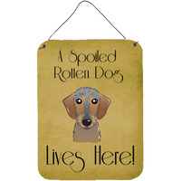 "Caroline's Treasures BB1481DS1216 Wirehaired Dachshund Spoiled Dog Lives Here Wall or Door Hanging Prints, 16 x 12"", Multicolor"