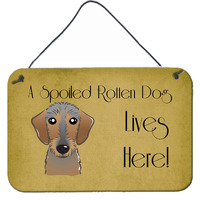 "Caroline's Treasures BB1481DS812 Wirehaired Dachshund Spoiled Dog Lives Here Wall or Door Hanging Prints, 8 x 12"", Multicolor"