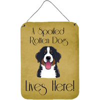 "Caroline's Treasures BB1485DS1216 Bernese Mountain Dog Spoiled Dog Lives Here Wall or Door Hanging Prints, 16 x 12"", Multicolor"