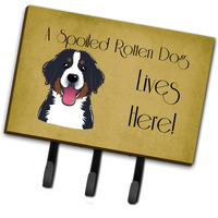 "Caroline's Treasures BB1485TH68 Bernese Mountain Dog Spoiled Dog Lives Here Leash or Key Holder, Large, Multicolor"