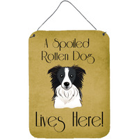 "Caroline's Treasures BB1489DS1216 Border Collie Spoiled Dog Lives Here Wall or Door Hanging Prints, 16 x 12"", Multicolor"