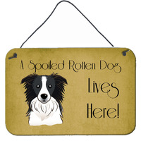 "Caroline's Treasures BB1489DS812 Border Collie Spoiled Dog Lives Here Wall or Door Hanging Prints, 8 x 12"", Multicolor"