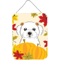 "Caroline's Treasures Maltese Thanksgiving Wall or Door Hanging Prints BB2014DS1216, 16HX12W, Multicolor"