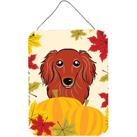 "Caroline's Treasures Longhair Red Dachshund Thanksgiving Wall or Door Hanging Prints BB2020DS1216, 16HX12W, Multicolor"