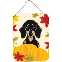 "Caroline's Treasures Smooth Black and Tan Dachshund Thanksgiving Wall or Door Hanging Prints BB2021DS1216, 16HX12W, Multicolor"