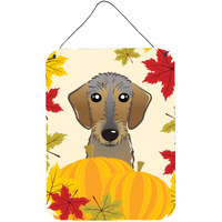 "Caroline's Treasures Wirehaired Dachshund Thanksgiving Wall or Door Hanging Prints BB2039DS1216, 16HX12W, Multicolor"