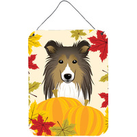 "Caroline's Treasures Sheltie Thanksgiving Wall or Door Hanging Prints BB2048DS1216, 16HX12W, Multicolor"