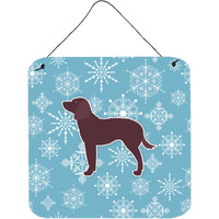 "Caroline's Treasures Winter Snowflake American Water Spaniel Wall or Door Hanging Prints BB3501DS66, 6"" x 6"", Multicolor"
