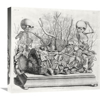 Diorama of fetal skeletons arranged with various internal organs-Canvas Art-22"x20.46"