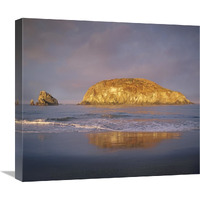 Island, Harris Beach State Park, Oregon-Canvas Art-22"x19.58"
