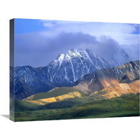 Alaska Range and foothills, Denali National Park, Alaska-Canvas Art-24"x20"
