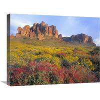 Chuparosa and Brittlebush Superstition Mountains, Arizona-Canvas Art-24"x18"